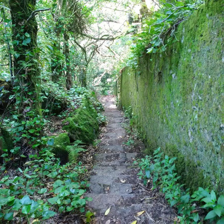 Villa Mucifal D Sintra Esterno foto